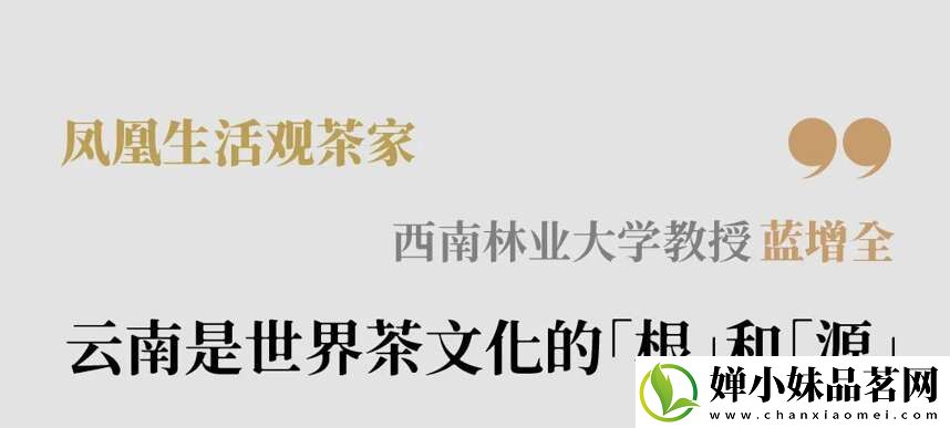 西南林业大学教授蓝增全│云南是世界茶文化的根和源